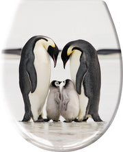 Zwei Kaiserpinguine stehen einander zugewandt mit zwei Küken dazwischen
