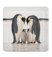 Zwei Kaiserpinguine stehen schützend über einem Pinguinküken auf Eis